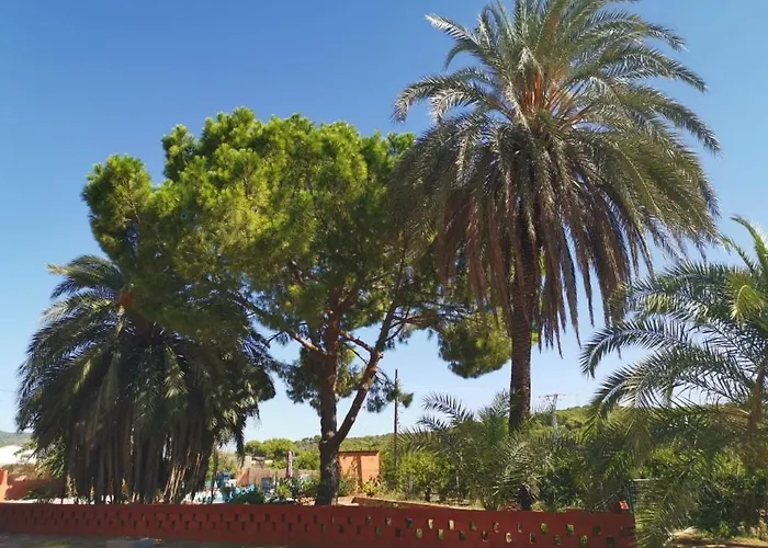 Relais Pollo Loco Couette-café