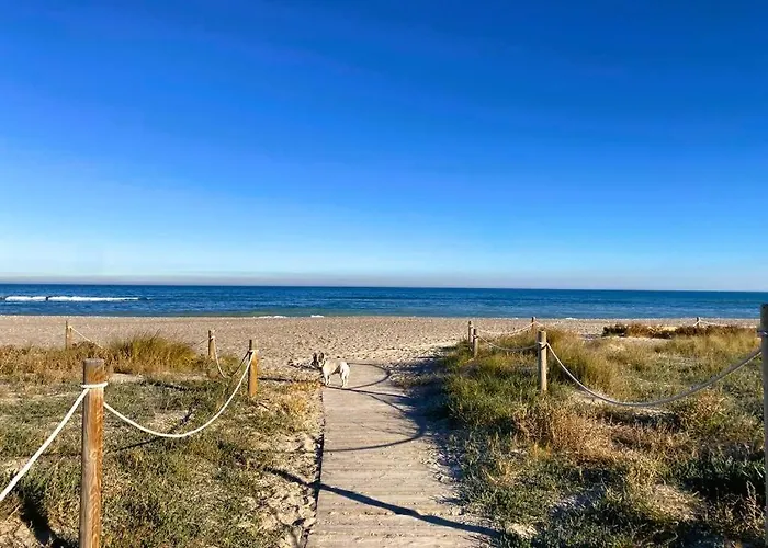 Couette-café Relais Pollo Loco Gilet