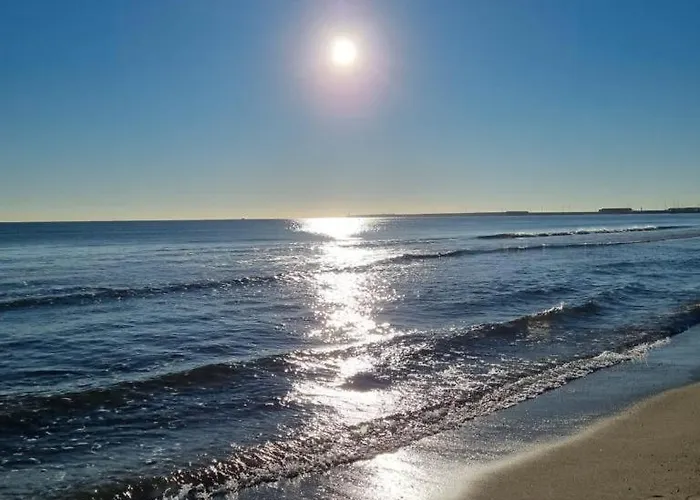 Relais Pollo Loco Couette-café Gilet